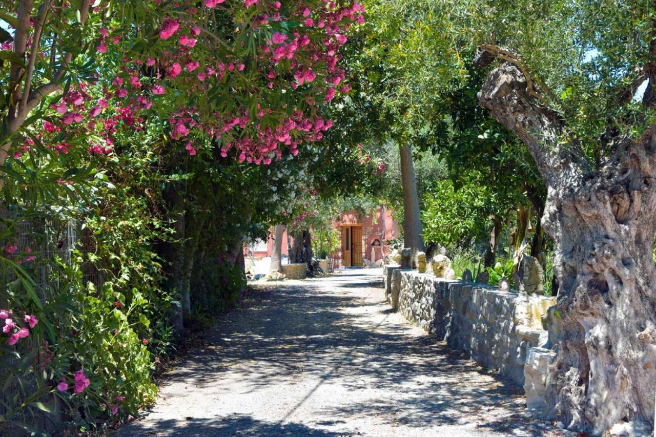 Avocado Villas Hanya Dış mekan fotoğraf